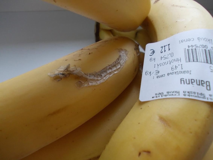 Na banánoch našla čitateľka