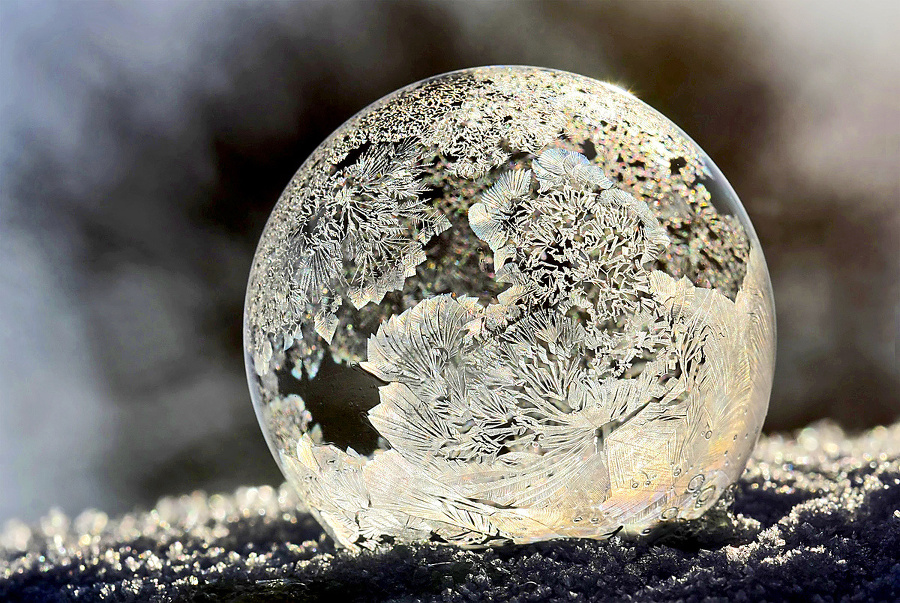 Fotografia Frosted Globe vyšla