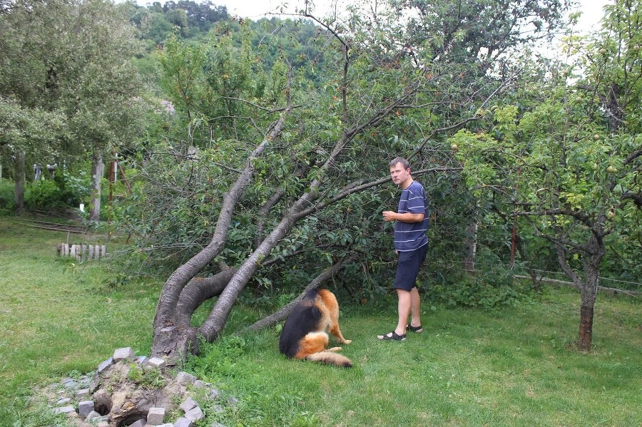 Zitkin manžel si na