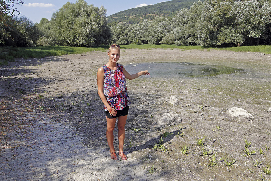 Jazierko po troch týždňoch