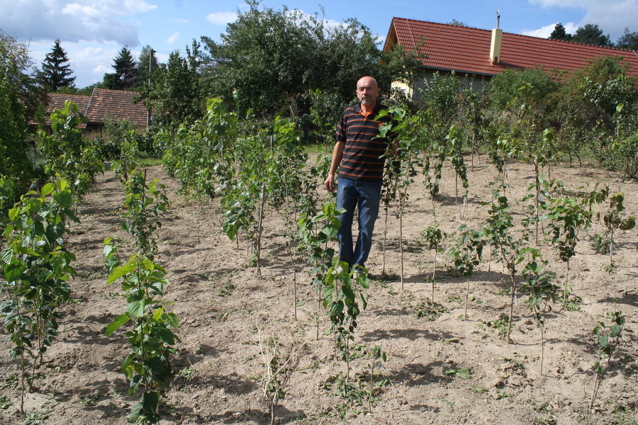 Jediné arborétum moruší v strednej