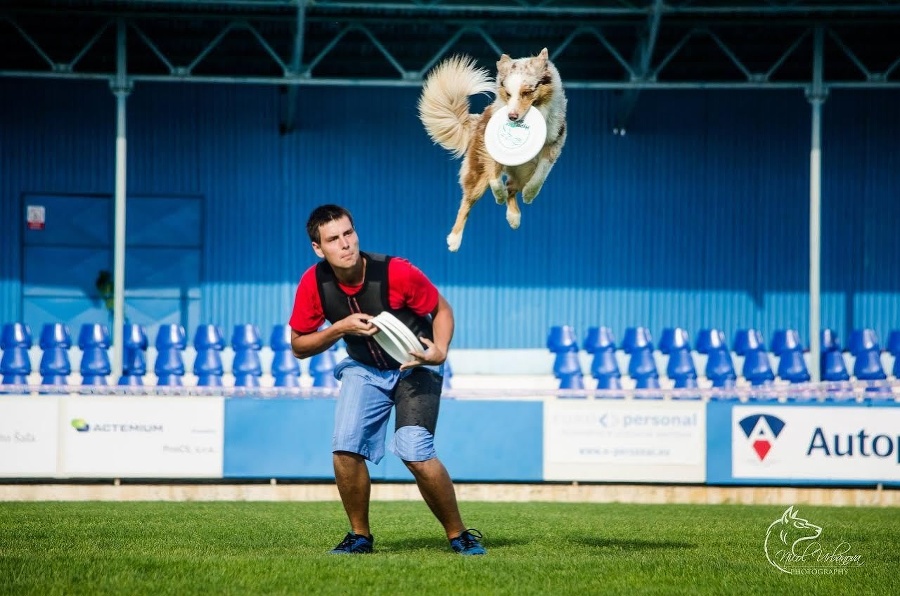 Dvojica na Dogfrisbee Visegrad