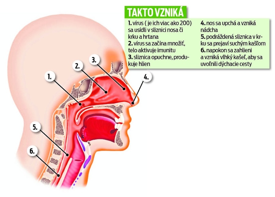 Takto vzniká!