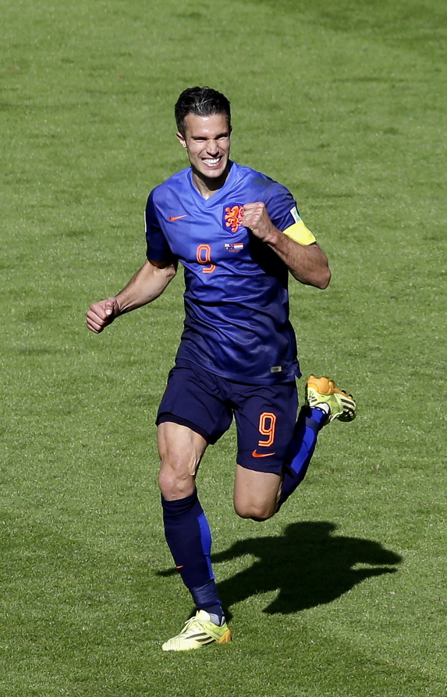 Van Persie