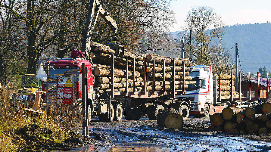 Odvoz dreva zo štátnych