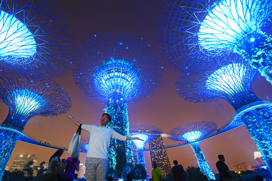 Singapur- Gardens by the