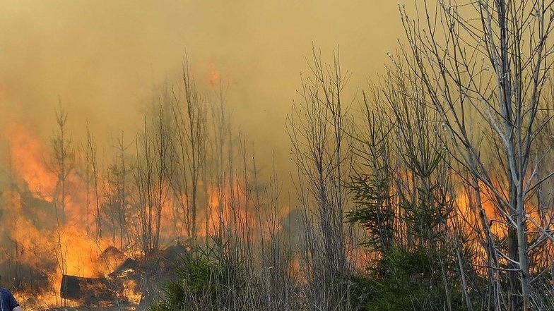 Lesný požiar pod Smokovcami