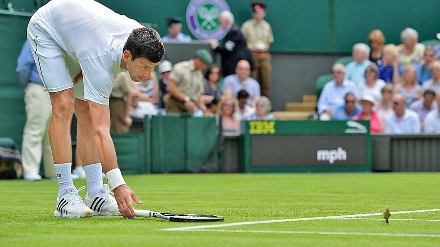 Boris Becker už vie,