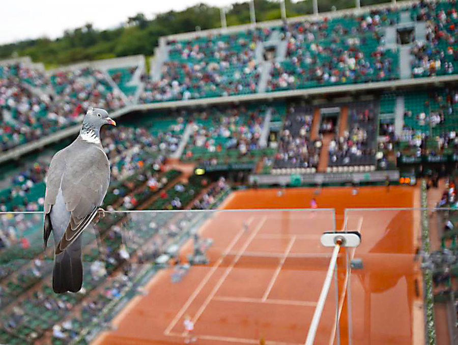 Roland Garros