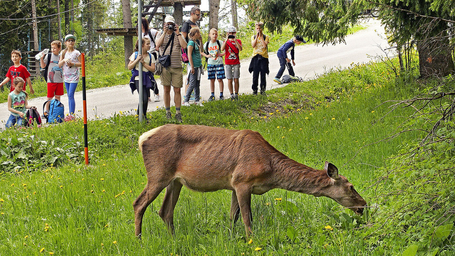 Turisti, ale predovšetkým deti