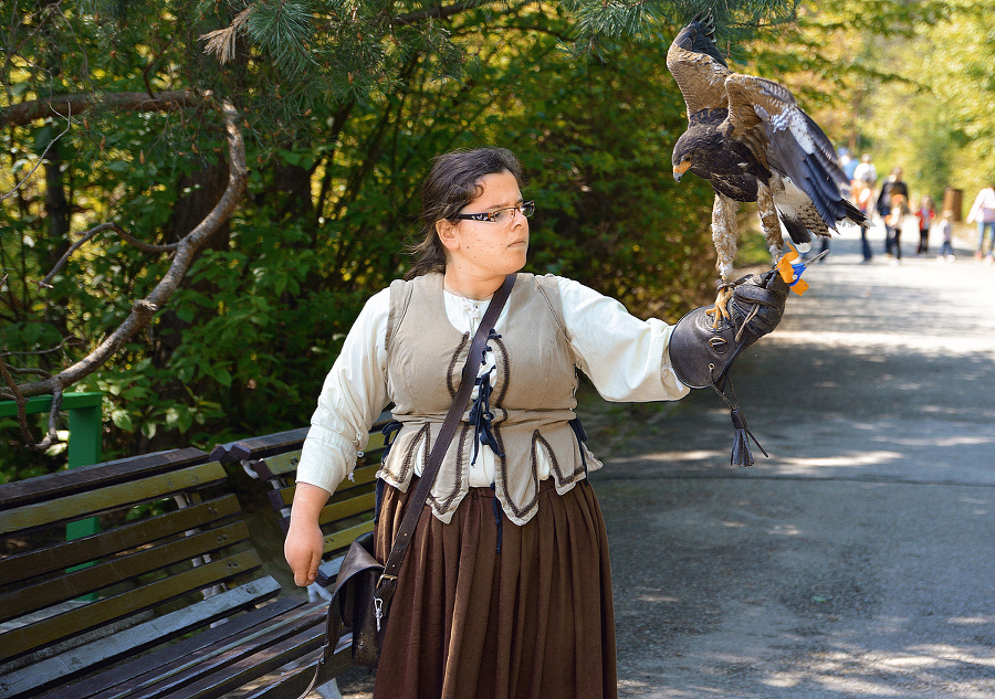 Odomykanie brány ZOO