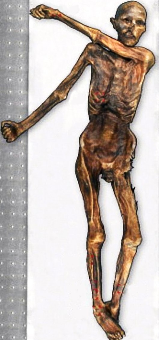 Na Ötziho tele objavili