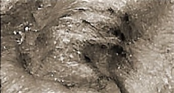 Ötziho tetovanie.