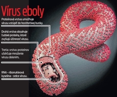 Vírus eboly.