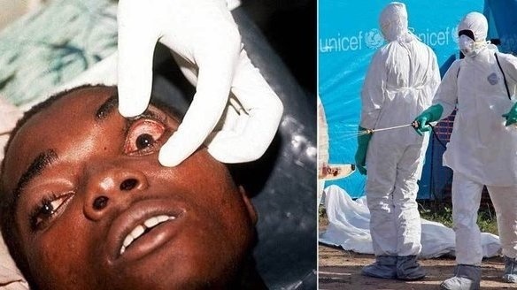 Ebola postavila do pozoru