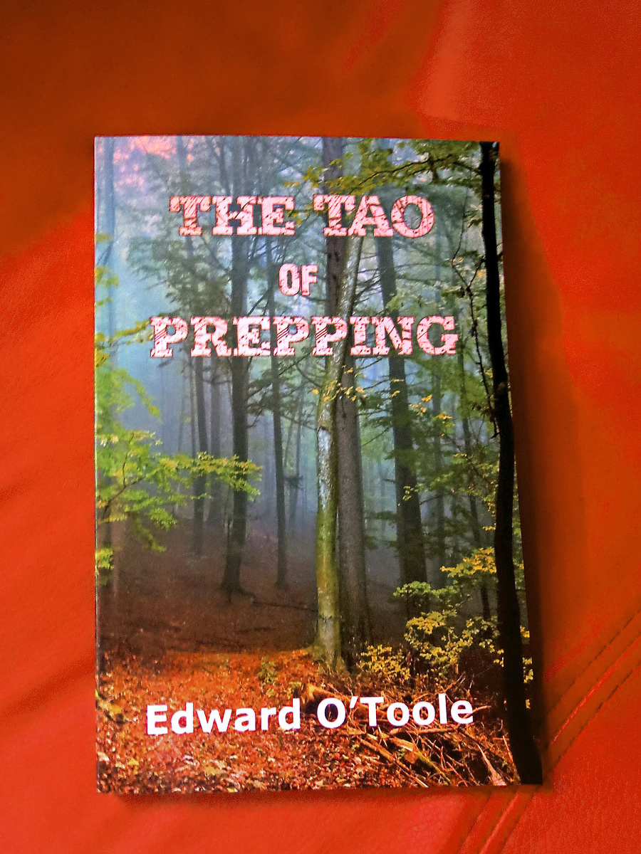 The Tao of Prepping je návodom, ako byť sebestačný.