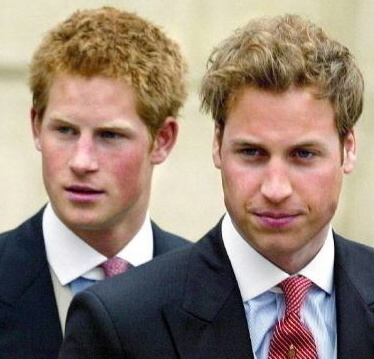 Princovia Harry a William