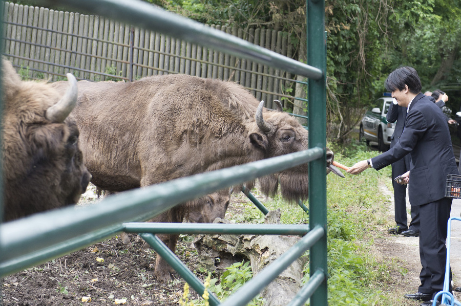 V zoo japonského princa