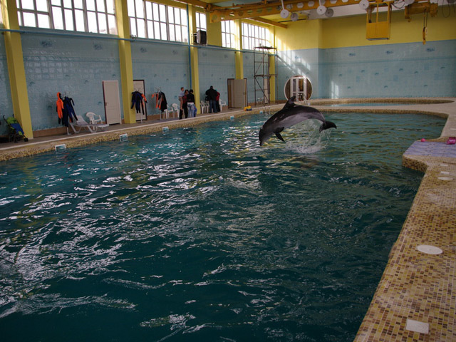 Vojenské oceanárium v Sevastopole prebudovali na civilné účely, robia v ňom delfinoterapiu. 