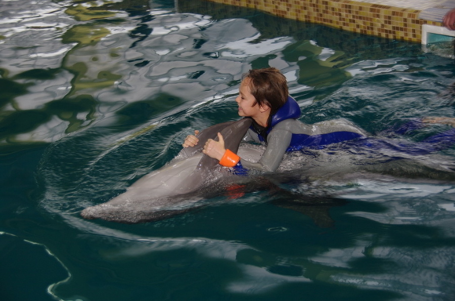 Vojenské oceanárium v Sevastopole prebudovali na civilné účely, robia v ňom delfinoterapiu. 
