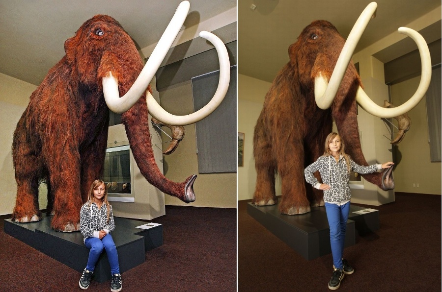Takéhoto mamuta v životnej