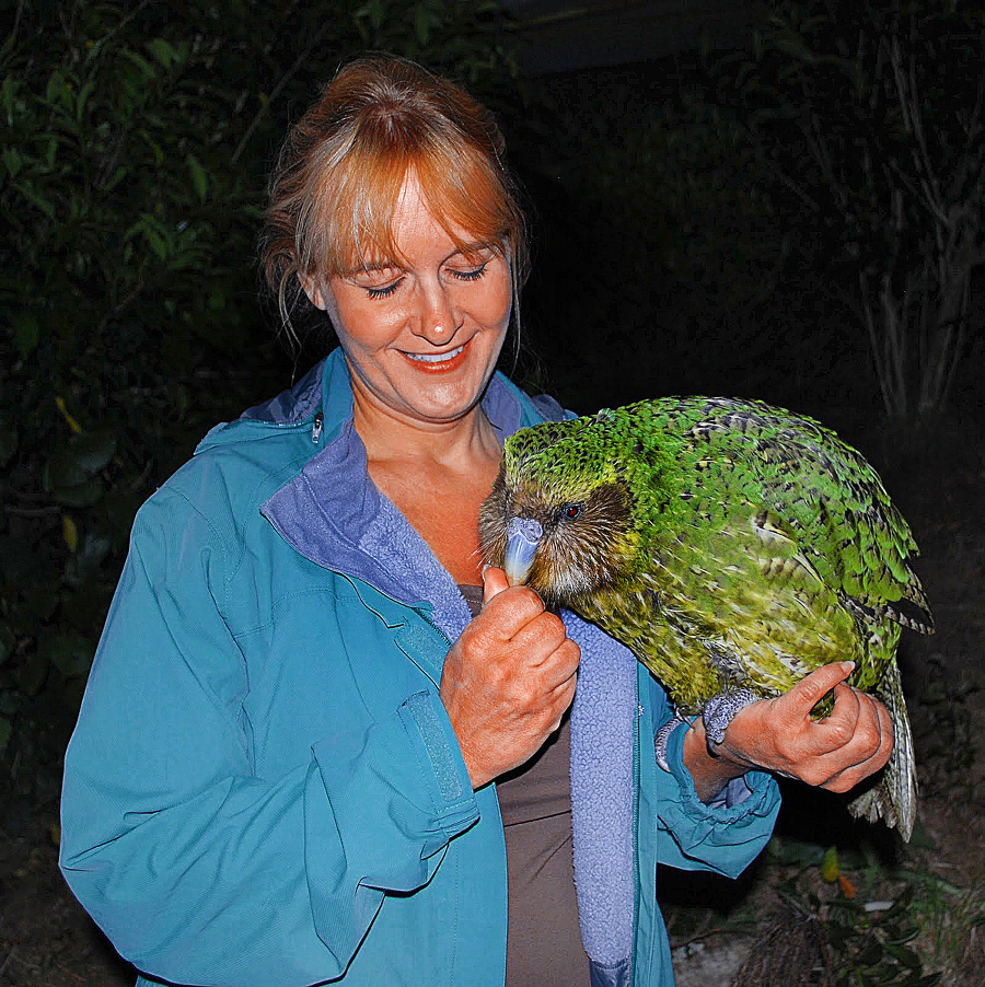 Kakapo, najväčší smoliar medzi