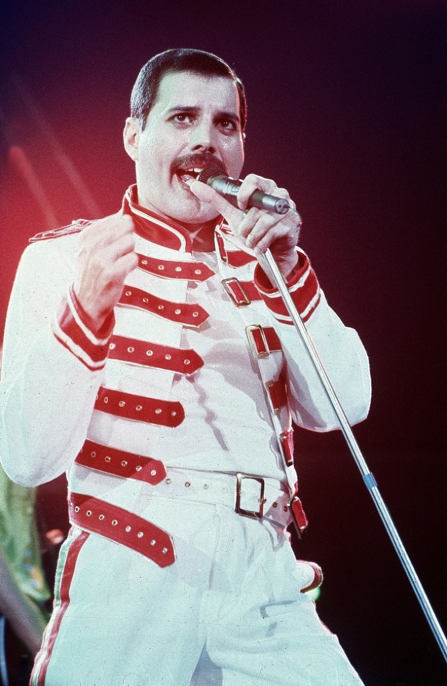 Freddie Mercury zomrel 24.