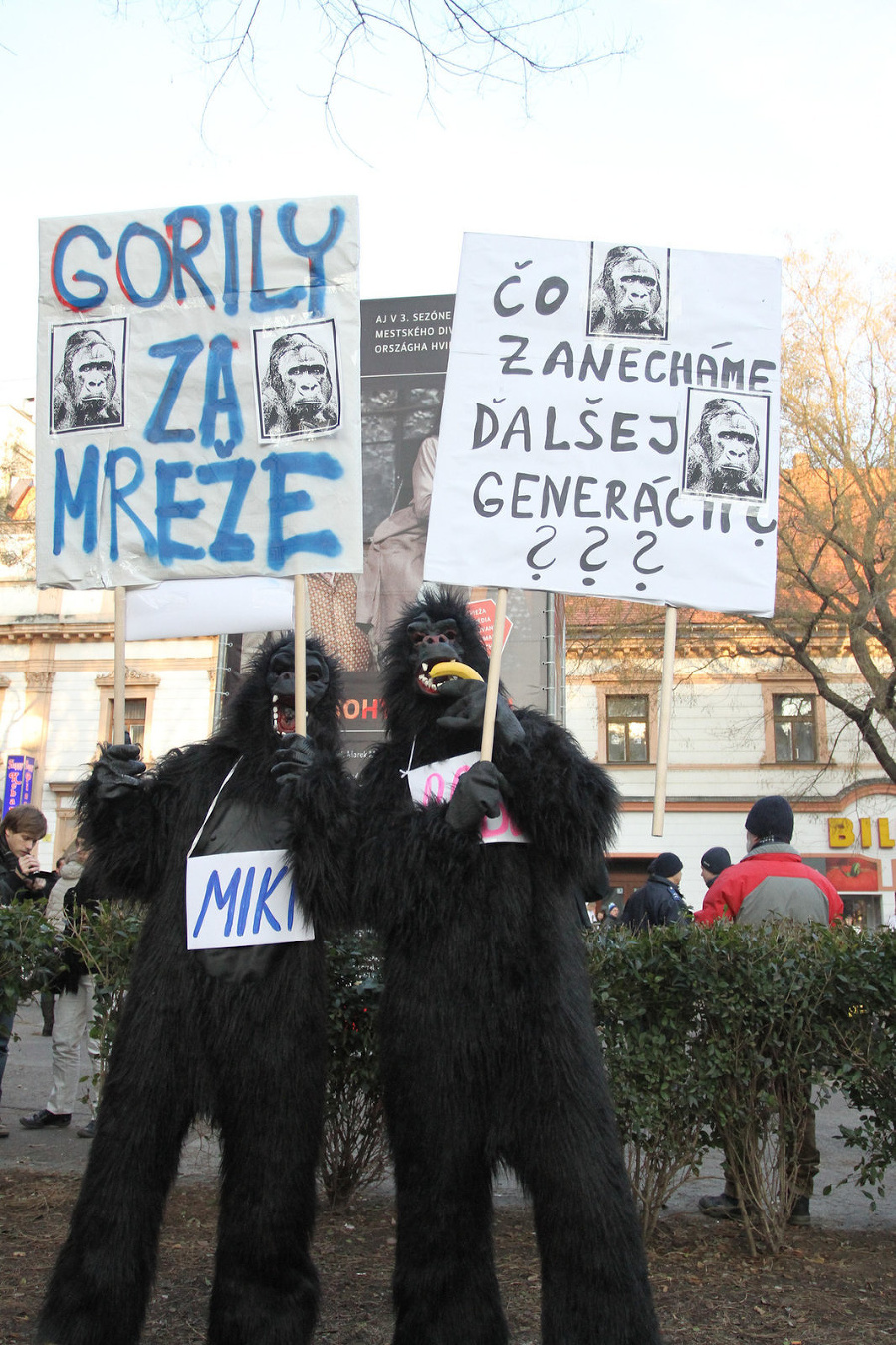 Protest Gorila