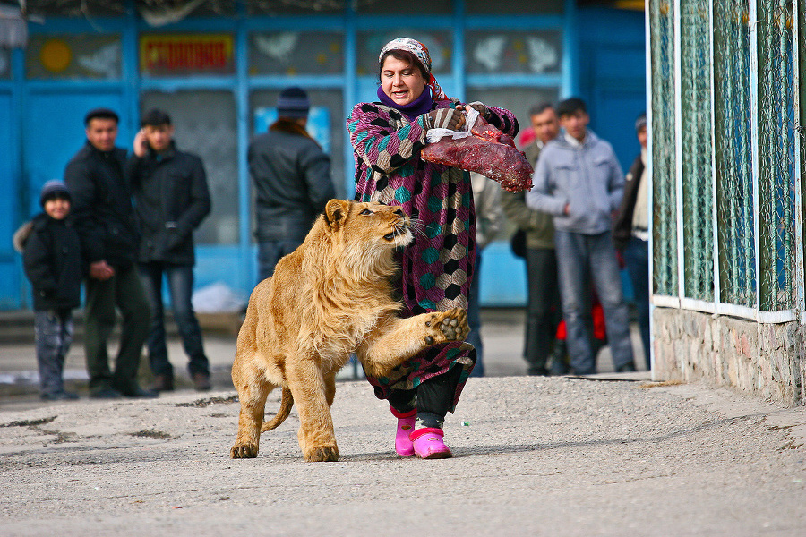 Zamestnankyňa zoo v tadžickej