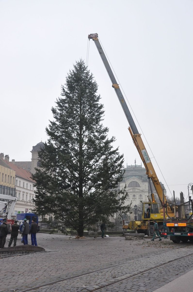 Vianočný strom už stojí