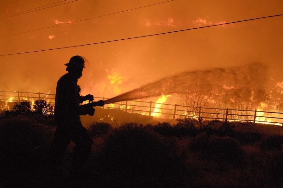 Lesný požiar pohltil 162