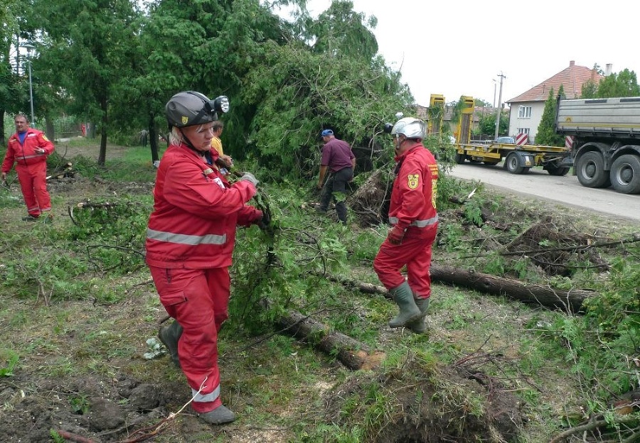 Silný vietor vyvrátil množstvo