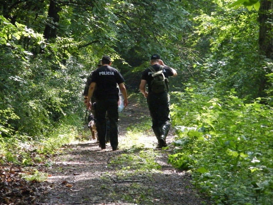 Polícia prehľadáva lesy v