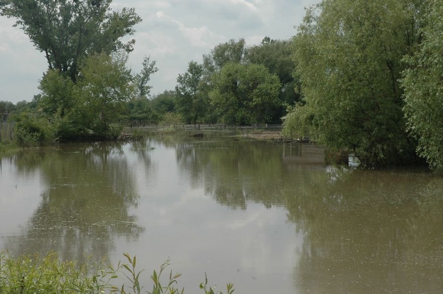 Voda ešte úplne neklesla a je rozliata aj na ceste v Borši.