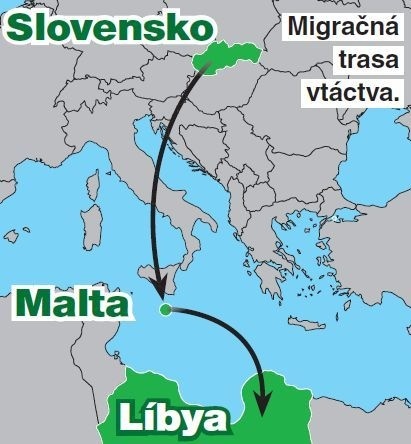 Migračná trasa vtáctva.