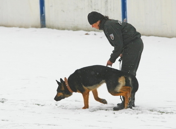 11:20 hod.: Policajná psovodkyňa