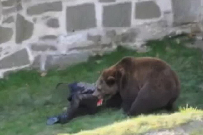 Napadnutie muža medveďom nakrútil