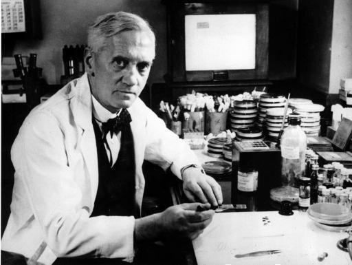 Alexander Fleming pri práci