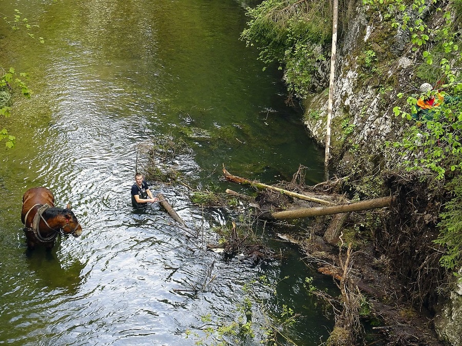 Na svojho žrebca nedá