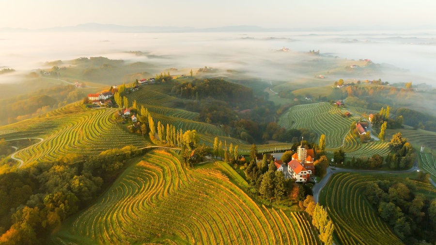 Aerial view of scenery