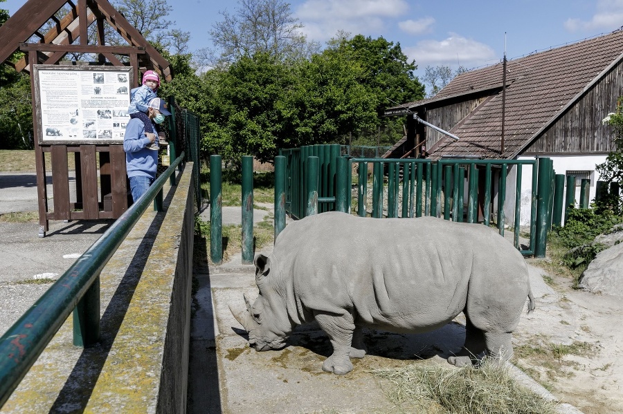 Znovuotvorenie zoologickej záhrady v