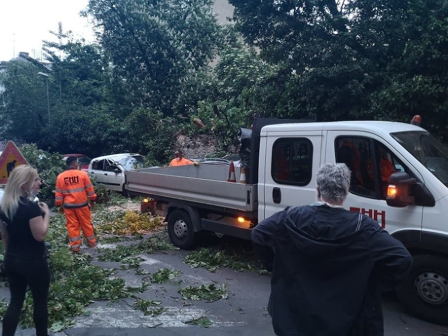 Spadnutý strom poškodil 4