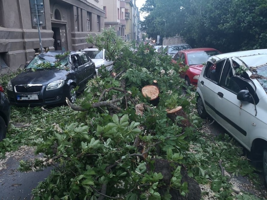 Spadnutý strom poškodil 4