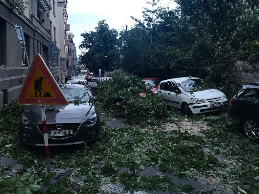 Spadnutý strom poškodil 4