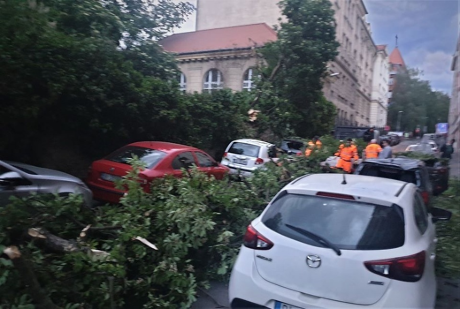 Spadnutý strom poškodil 4