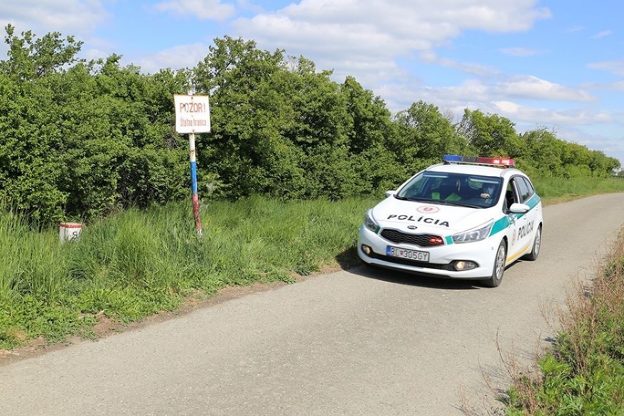 Policajná hliadka na zelenej