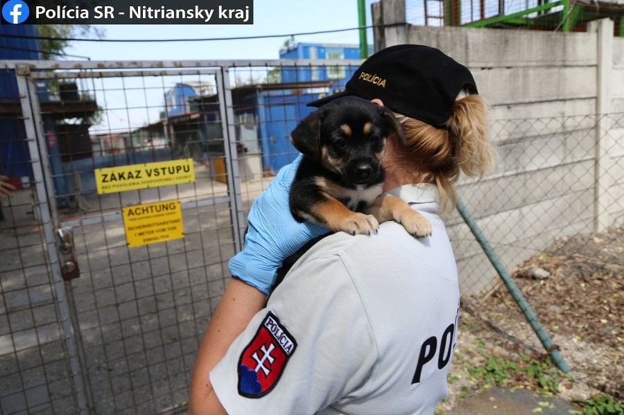 Polícia vec rieši ako