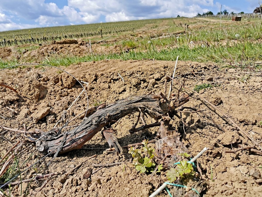 Pohľad na jeden z