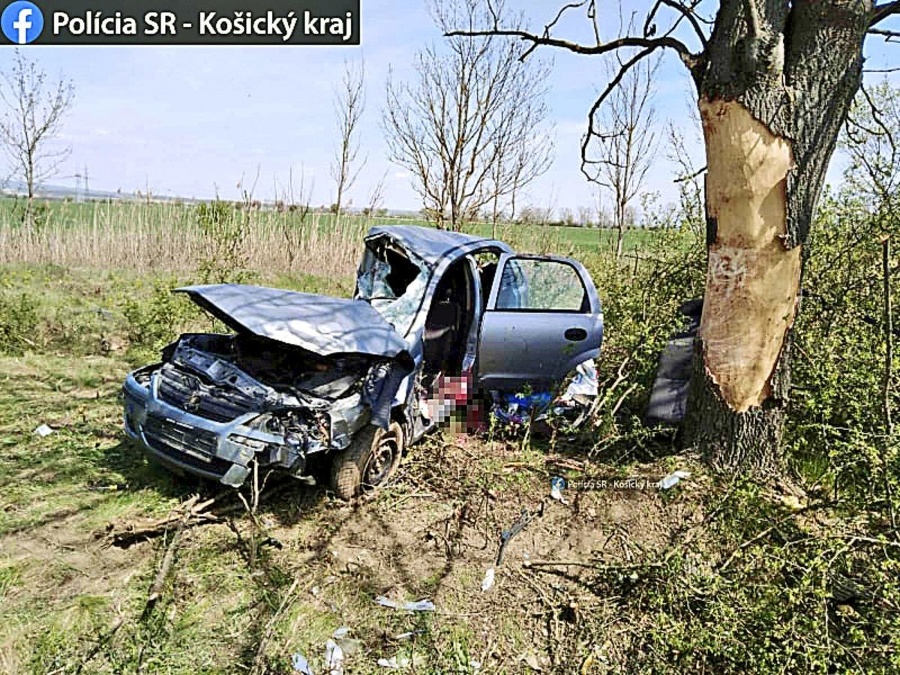 Auto Zuzany narazilo do