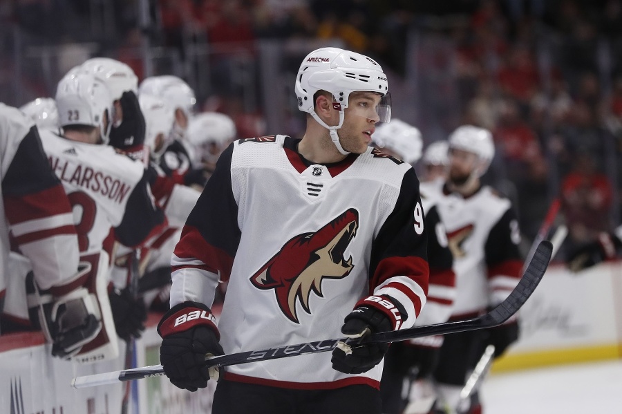 Hráči Arizona Coyotes.